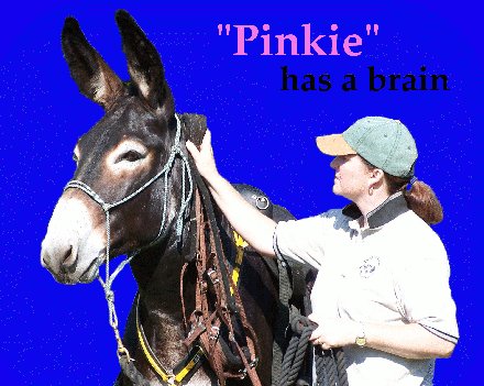 pinkie